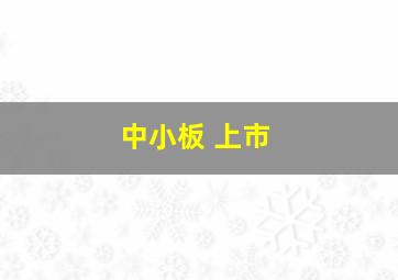 中小板 上市